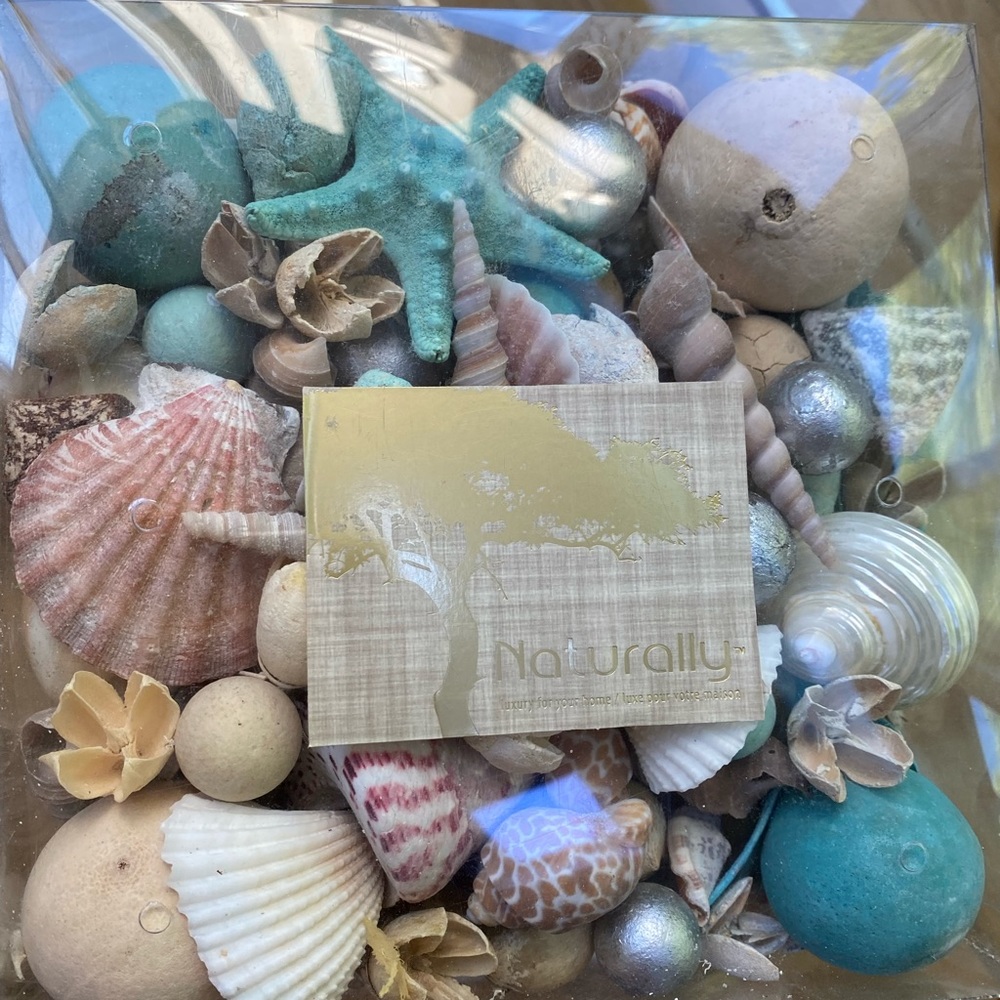 NEW! Fragrant Coastal Apothecary Glass Filler